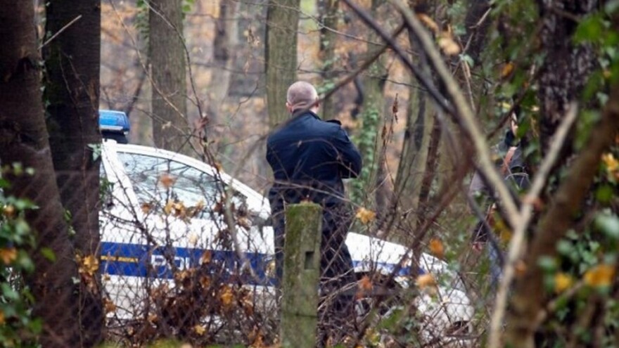 Šumar kazneno prijavljen zbog pustošenja šuma