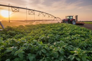 Pola milijuna kuna za navodnjavanje