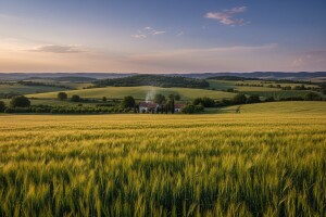 Pola RH pod žitaricama