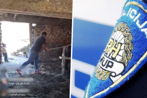 Zbog zlostavljanja konja policija privela 29-godišnjaka i 49-godišnjaka