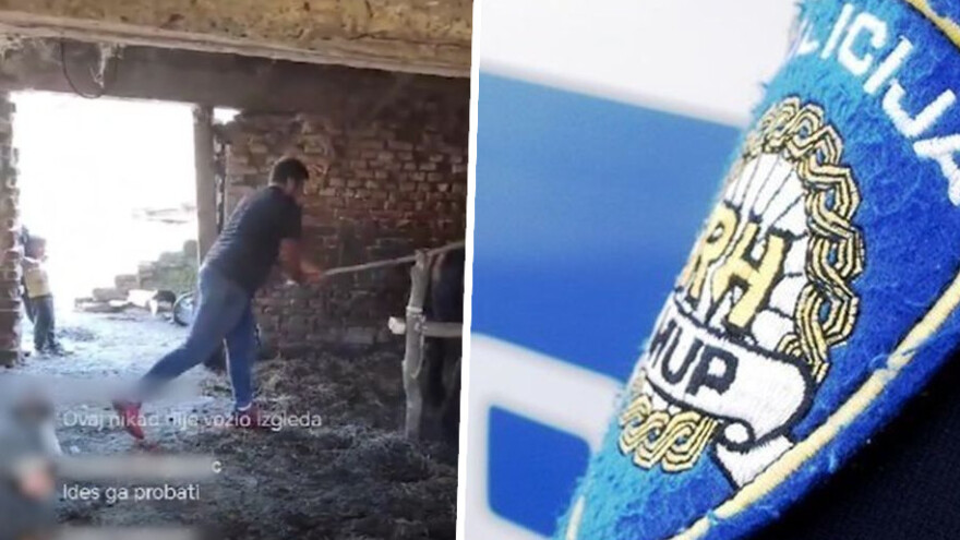 Zbog zlostavljanja konja policija privela 29-godišnjaka i 49-godišnjaka