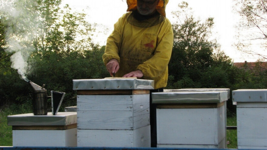 Od politike se odmaraju - poljoprivredom