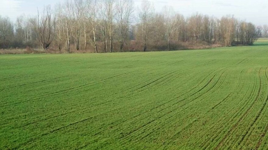Usjeve prihraniti kad je tlo dovoljno prosušeno da se može proći strojevima