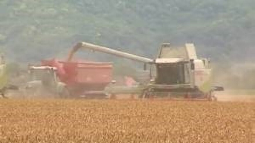 Poljoprivreda koja ne kontaminira okoliš?