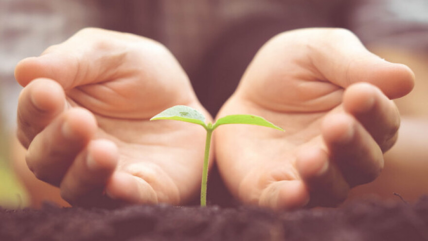 Pesticidi svih zemalja, ujedinite se!