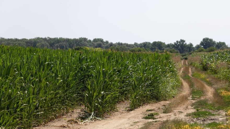 Slede tropski dani: Temperature i do 40 stepeni Celzijusa