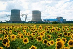 Fitoremedijacija: Bilje spašava čovječanstvo!