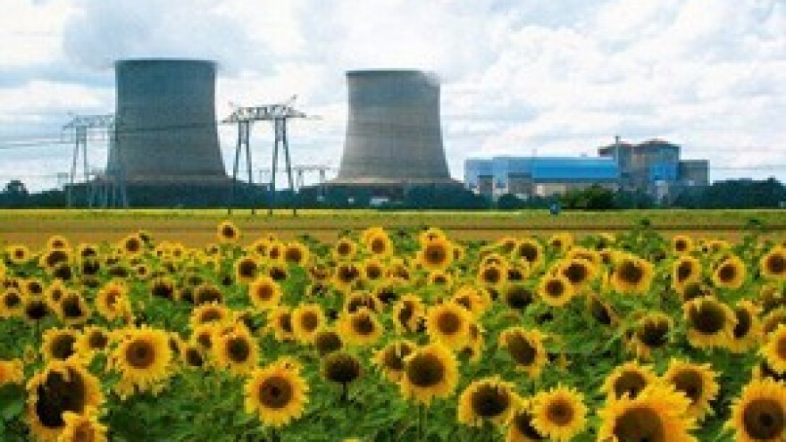 Fitoremedijacija: Bilje spašava čovječanstvo!