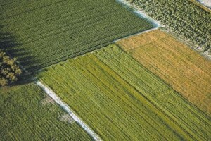 2,3 milijuna kuna za donacije i pomoći u poljoprivredi