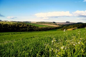 Uskoro izgradnja tvornice mineralnih gnojiva