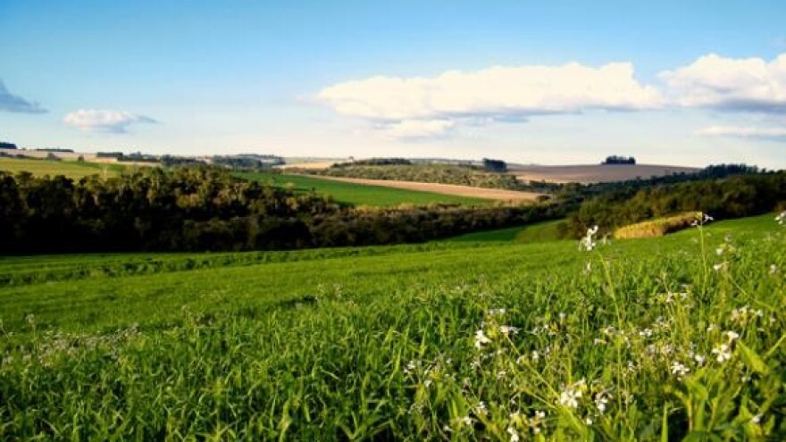 Uskoro izgradnja tvornice mineralnih gnojiva