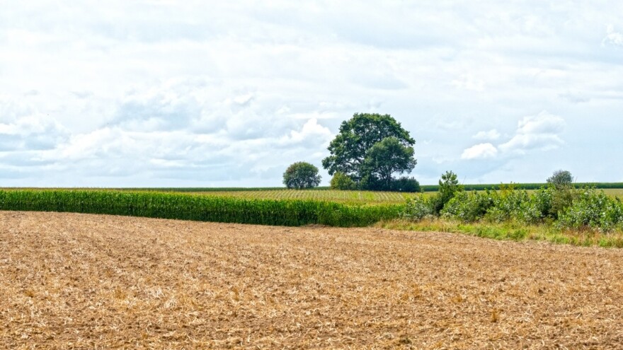 Sunčano, uz ređu pojavu kiše, od sutra