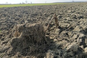 Hrvatska je poljoprivreda na 29 posto prosječne produktivnosti agrara EU