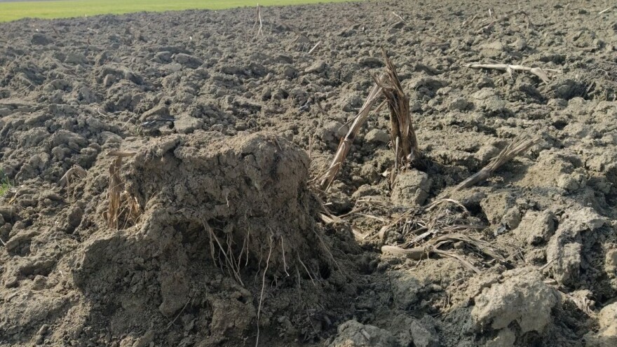 Hrvatska je poljoprivreda na 29 posto prosječne produktivnosti agrara EU