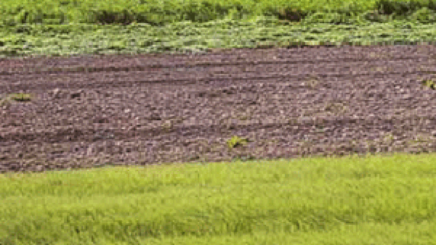 Obradiva zemlja gubi bitku sa šikarom