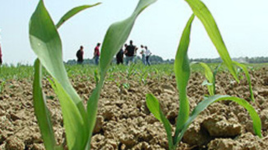 Raste uvoz hrane, a pada nam postotak obrađenog zemljišta u zemlji