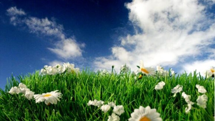 Poticaji u poljoprivredi