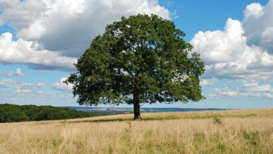 Krediti za kontinentalni turizam