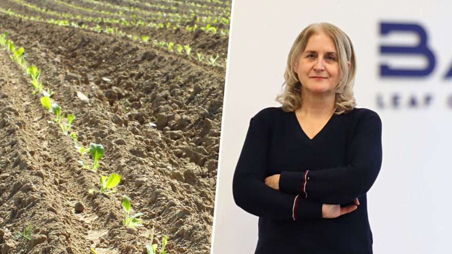 Hrvatski duhani: Ove godine 19 posto više hektara i 39 novih proizvođača