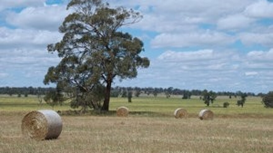 Prodaja poljoprivrednog zemljišta u Općini Plaški