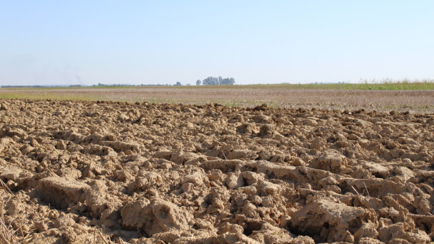 Hrvatska, bogomdana zemlja za poljoprivredu?