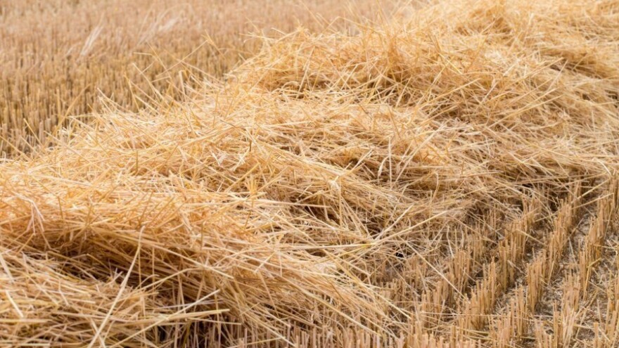 Žetva završava, slijedi suzbijanje korova