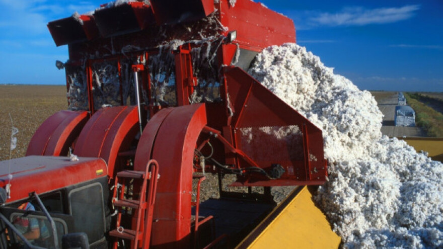 Kako se varalo s pamukom u bivšem Sovjetskom savezu?