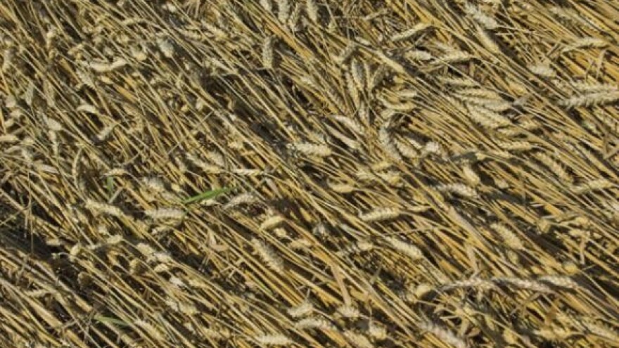 Otkupljivači drže ključeve otkupa