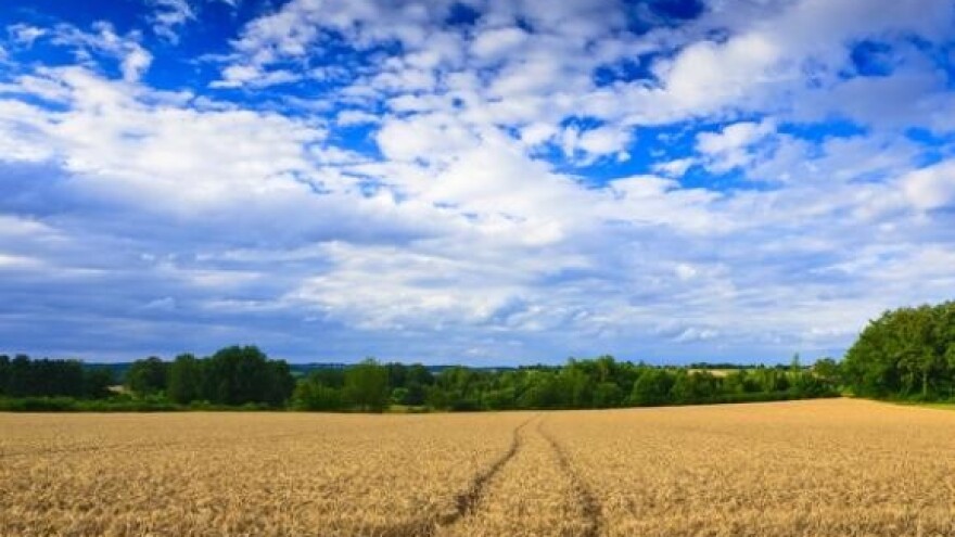 Pšenicu nam ili vratite ili platite, poručuju seljaci