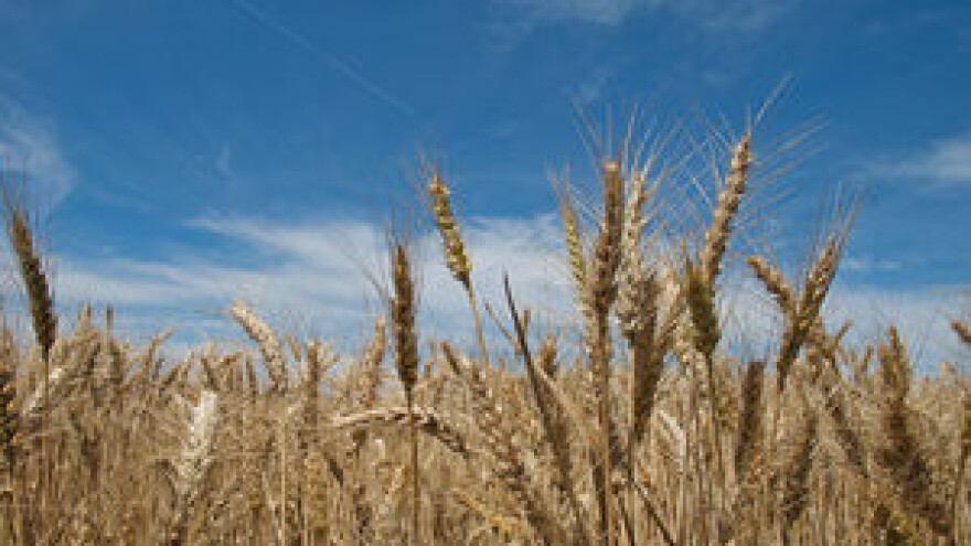 Pripremite se za suzbijanje korova