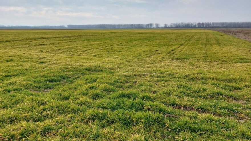 Bez presedana: Zimska suša širom Evrope - naredne nedelje su ključne