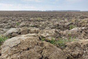 Utjecaj klimatskih promjena i konvencionalne poljoprivredne prakse na mikrofaunu tla