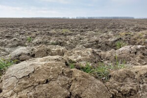 Utjecaj klimatskih promjena i konvencionalne poljoprivredne prakse na mikrofaunu tla