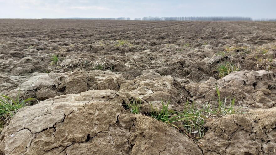 Utjecaj klimatskih promjena i konvencionalne poljoprivredne prakse na mikrofaunu tla