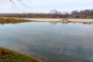 Zbog nestašice vode zabrinuto 58 posto svjetskog stanovništva