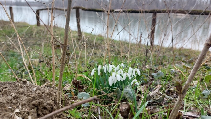 Proljeće u skladu s kalendarom - ove sedmice bez mraza