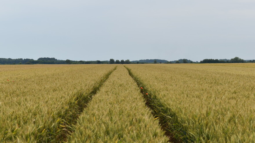 Koliko je objavljeno javnih natječaja za zakup državnog poljoprivrednog zemljišta?