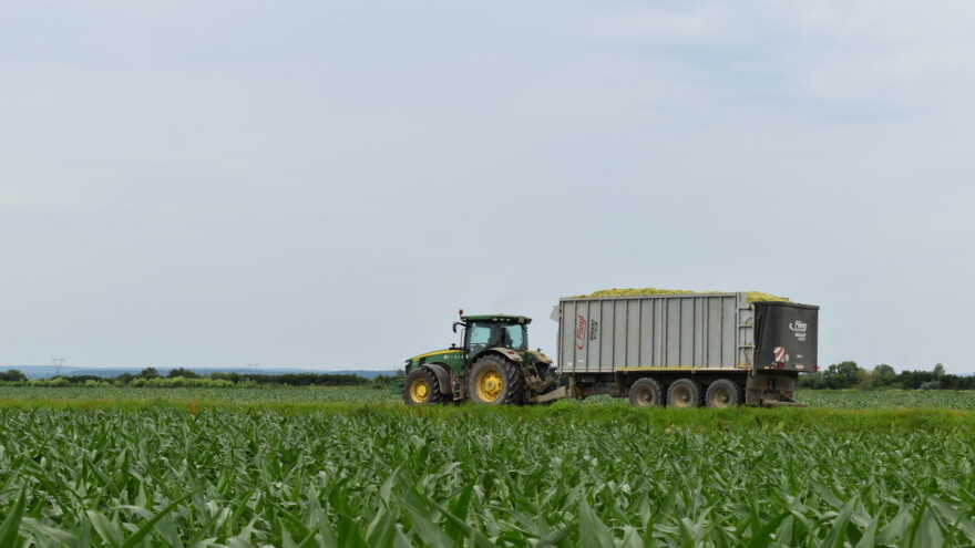 Vlada objavila nove cijene goriva - kakvo je stanje s plavim dizelom?