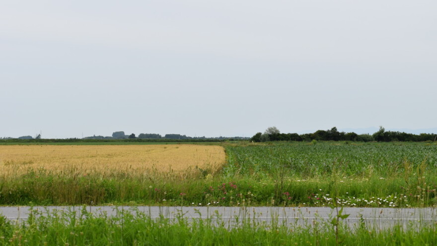 Do petka sunčano, za vikend opet kiša