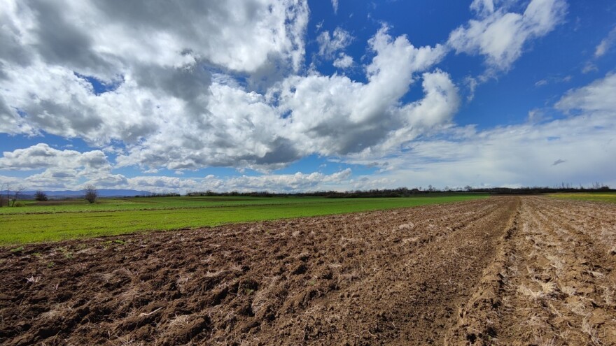 Nepredvidiva klima: Gde pratiti prognozu i kako planirati proizvodnju?