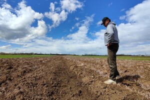 Međunarodni je dan tla, a degradacija tihi problem budućnosti hrane