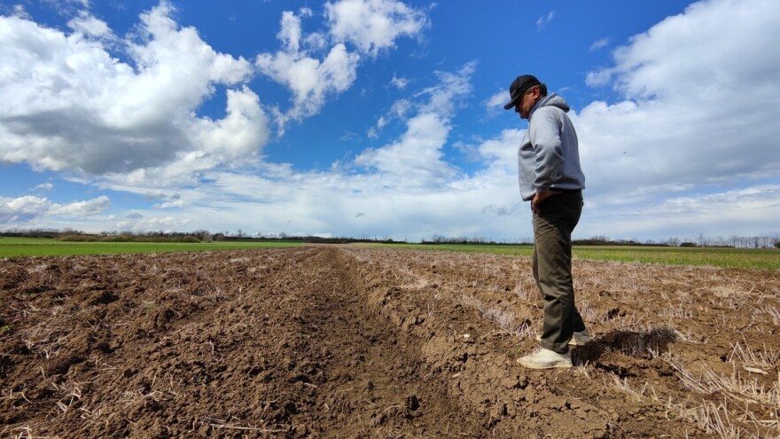 Međunarodni je dan tla, a degradacija tihi problem budućnosti hrane