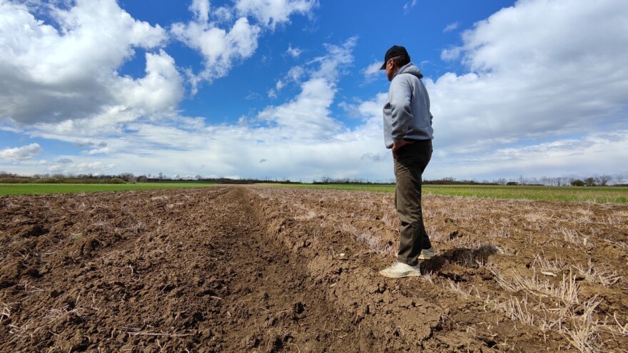 Prve procjene: Pada realni dohodak u poljoprivredi - manji za 2,3 posto od lani