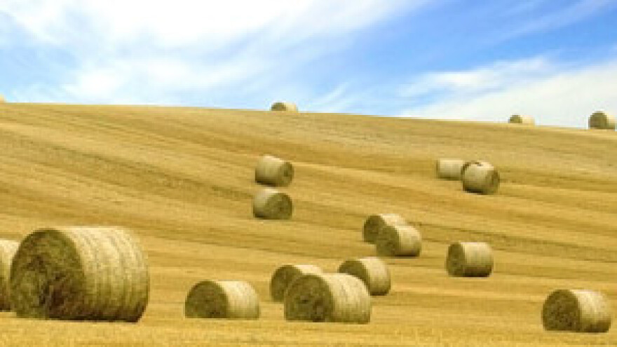 Poljoprivrednici traže oslobađanje od plaćanja zakupa zemljišta