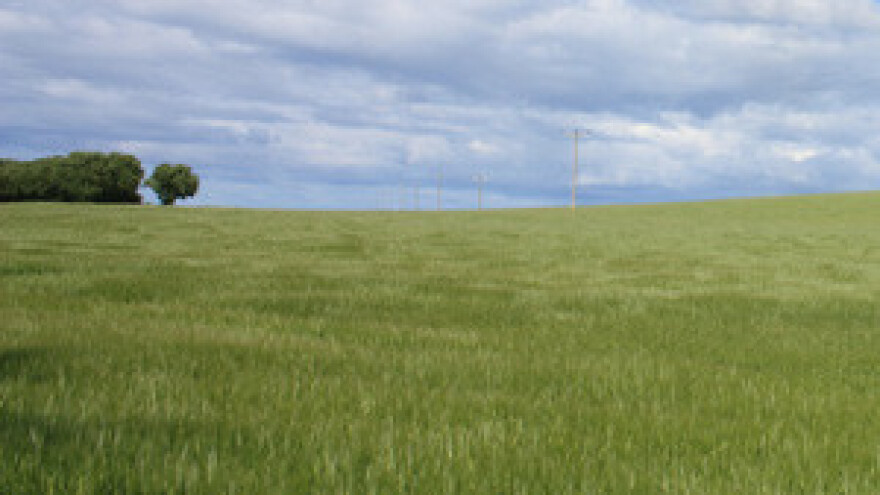 Danas otvorenje Tvornice mineralnih gnojiva
