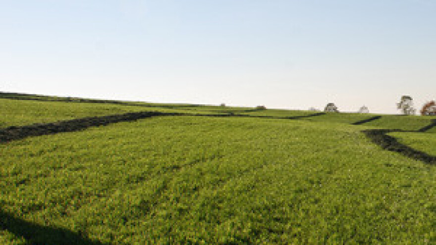 Otvorena Tvornica mineralnih gnojiva