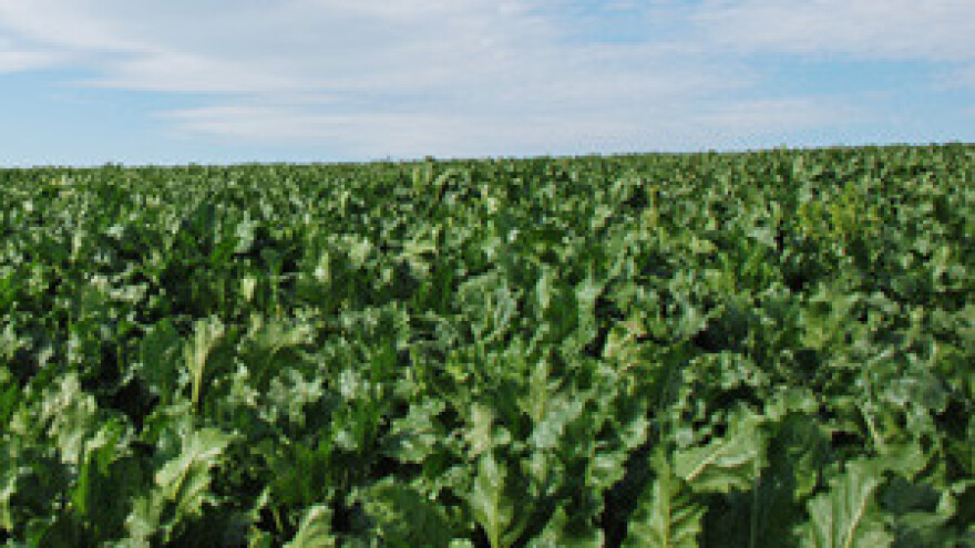 Nelegalno isplaćivani poticaji?