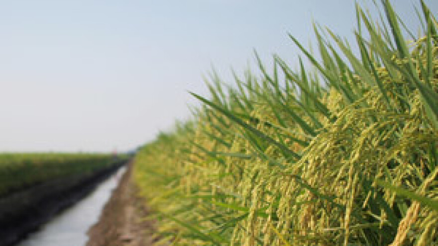 Projekt navodnjavanja Vranskog polja