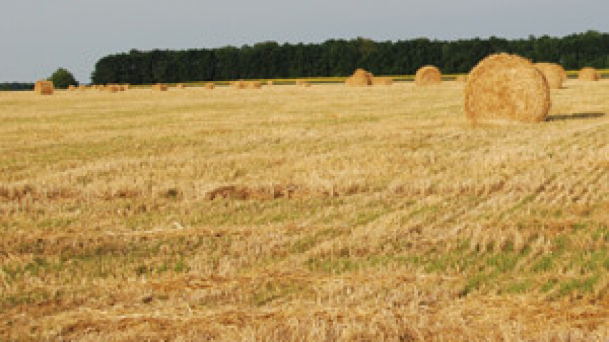 Umjesto prodaje zemlje - zakup na pet godina