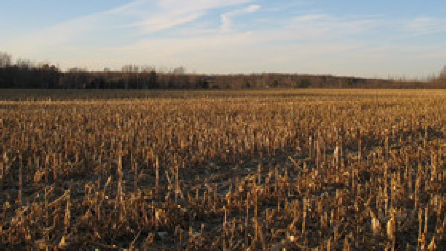 Uzalud ulagali u zakupljene parcele